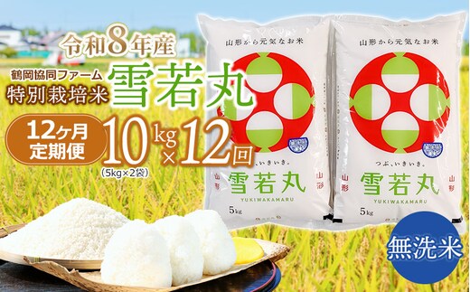 【令和8年産 新米】 特別栽培米雪若丸 無洗米 10kg (5kg×2袋) ×12ヶ月【定期便】 山形県鶴岡産 鶴岡協同ファーム