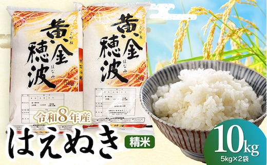 【令和8年産】はえぬき 精米10kg(5kg×2袋) 山形県鶴岡市 らん工房 | 10キロ 米 お米 おこめ コメ こめ 食品 ご飯 ごはん おいしい お取り寄せ 農家直送 お弁当 おにぎり 東北 国産 おすすめ 人気 返礼品