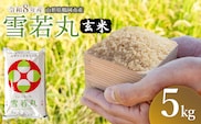 【令和8年産 新米】馬町さくらファームの雪若丸 玄米5kg（5kg×1袋） 山形県鶴岡市 K-827 | 米 ゆきわかまる お米 5キロ コメ こめ ご飯 ごはん ブランド米 米どころ 庄内米 国産 美味しい お取り寄せ 農家直送 お弁当 おにぎり おすすめ 人気 返礼品