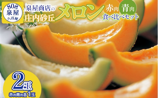 【令和8年産先行予約】泉屋商店の庄内砂丘メロン 赤肉・青肉 食べ比べセット 2玉入 K-822