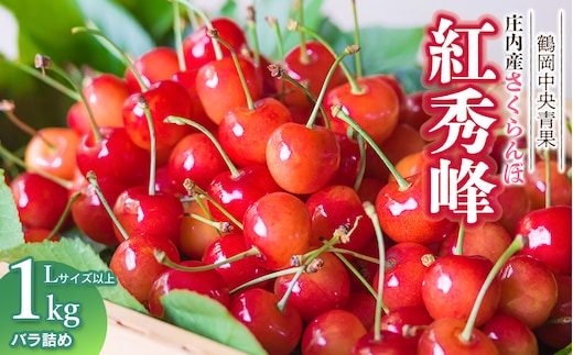 【令和8年産】さくらんぼ 紅秀峰 バラ詰め 1kg Lサイズ以上 山形県鶴岡市 鶴岡中央青果 | サクランボ チェリー 山形 鶴岡 庄内産 東北 果物 くだもの フルーツ 1キロ 産地直送 旬の果物 果実 人気 美味しい お取り寄せ 返礼品