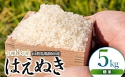 【令和8年産 新米】馬町さくらファームのはえぬき精米5㎏（5kg×1袋）　山形県鶴岡市 K-830 | 米 お米 コメ こめ 5キロ ご飯 ごはん ブランド米 米どころ 庄内米 国産 美味しい おいしい お取り寄せ 農家直送 お弁当 おにぎり おすすめ 人気 返礼品