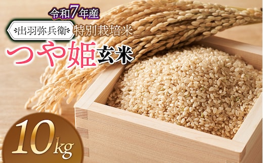 【令和7年産】【新米】特別栽培米 つや姫 【玄米】 10kg（5kg×2袋） 山形県鶴岡市産 出羽弥兵衛