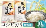 【令和8年産 新米】コシヒカリ 無洗米10kg(5kg×2袋) 山形県鶴岡市産 らん工房 | 10キロ 食品 ご飯 ごはん お取り寄せ 農家直送 お弁当 おにぎり 東北 国産