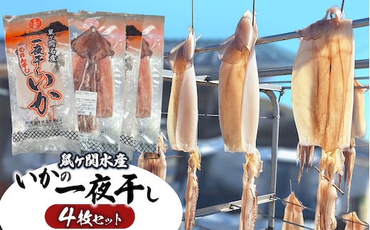 鼠ヶ関名産 いかの一夜干し 4枚セット 鼠ヶ関水産加工生産組合