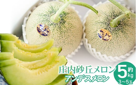 【令和8年産先行予約】菅原農園の庄内砂丘メロン 約5kg （3玉～5玉） アンデス メロン 【7月下旬～8月上旬】 k-839 菅原農園 鶴岡地区物産協同組合
