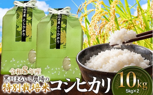 【令和8年産 新米】 黒川まるいし農場の特別栽培米 コシヒカリ 10kg(5kg×2袋) 山形県鶴岡市産 K-875 | こしひかり 米どころ 庄内米 ブランド米 米 コメ こめ 精米 ご飯 ごはん 美味しい お取り寄せ 農家直送 東北 国産 おすすめ 人気 返礼品 2026年産