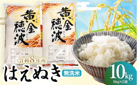 【令和8年産 新米】はえぬき 無洗米10kg(5kg×2袋) 山形県鶴岡市 らん工房 | 10キロ 米 お米 おこめ コメ こめ 食品 ご飯 ごはん おいしい お取り寄せ 農家直送 お弁当 おにぎり 東北 国産 おすすめ 人気 返礼品