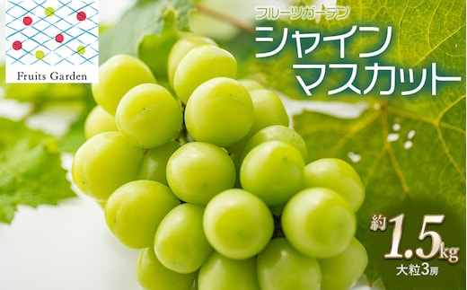 【令和8年産】 シャインマスカット 約1.5kg 大粒3房 山形県鶴岡市 フルーツガーデン