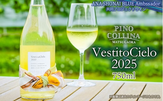 白ワイン Vestito Cielo 2025 750ml×1本 株式会社エルサン 国産 日本ワイン