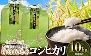 【令和8年産】 黒川まるいし農場の特別栽培米 コシヒカリ 10kg(5kg×2袋)　山形県鶴岡市産　K-875　| こしひかり 米どころ 庄内米 ブランド米 米 コメ こめ 精米 ご飯 ごはん 美味しい お取り寄せ 農家直送 東北 国産 おすすめ 人気 返礼品 2026年産