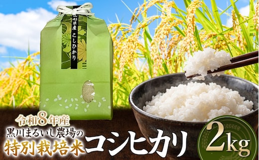 【令和8年産】 黒川まるいし農場の特別栽培米 コシヒカリ 2kg 山形県鶴岡市産 K-816 | こしひかり 2キロ 米どころ 庄内米 ブランド米 米 コメ こめ 精米 ご飯 ごはん 美味しい お取り寄せ 農家直送 東北 国産 おすすめ 人気 返礼品 2026年産