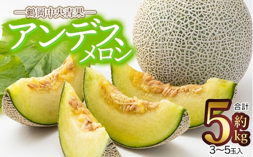 【令和8年産先行予約】アンデスメロン【青肉】 5kg （3～5玉） 山形県鶴岡市 鶴岡中央青果 | メロン めろん 青肉メロン 5キロ 山形 鶴岡 庄内 庄内産 東北 フルーツ 果物 くだもの 夏 旬 人気 おすすめ 美味しい お取り寄せ 返礼品