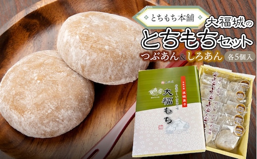 とちもち本舗 大福城のとちもちセット（とちもち・白餡とちもち 各5個）[K-720]