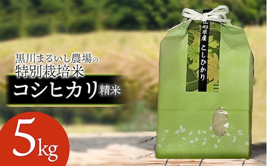 【令和7年産】【新米】 黒川まるいし農場の特別栽培米 コシヒカリ 5kg 山形県鶴岡市産 K-745