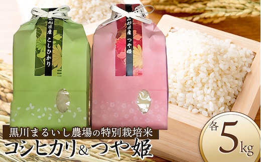 【令和7年産】【新米】 黒川まるいし農場の特別栽培米つや姫 5kg・コシヒカリ 5kg (計10kg) 山形県鶴岡市産 K-787