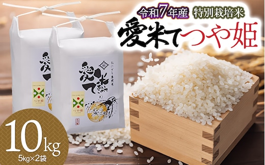 【令和7年産】 特別栽培米 つや姫 10kg (5kg×2袋) 山形県鶴岡市産 愛米て