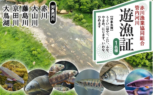 雑魚 遊漁証（赤川漁業協同組合管内河川）【期間：令和8年4月1日～9月30日まで】