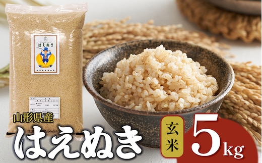 【令和7年産】 はえぬき 玄米 5kg 山形県産 | 5キロ お米 コメ 食品 ご飯 ごはん 美味しい おいしい ブランド米 エコ包装 おすすめ 人気 山形県 鶴岡市 東北 国産 お取り寄せ SDGs未来都市鶴岡 返礼品