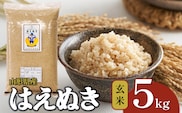 【令和7年産】 はえぬき 玄米 5kg 山形県産 | 5キロ お米 コメ 食品 ご飯 ごはん 美味しい おいしい ブランド米 エコ包装 おすすめ 人気 山形県 鶴岡市 東北 国産 お取り寄せ SDGs未来都市鶴岡 返礼品