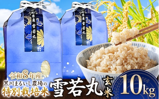 【令和8年産】 黒川まるいし農場の特別栽培米 雪若丸 玄米 10kg(5kg×2袋) 山形県鶴岡市産 K-874 | ゆきわかまる 10キロ 米どころ 庄内米 ブランド米 コメ こめ ご飯 ごはん 美味しい お取り寄せ 農家直送 東北 国産 おすすめ 人気 返礼品 2026年産