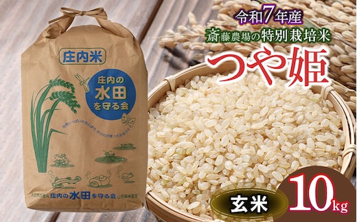 【令和7年産】【新米】 斎藤農場の特別栽培米 つや姫 玄米 10kg 山形県鶴岡市 [K-7117]