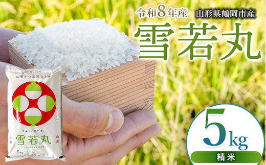 【令和8年産 新米】 馬町さくらファームの雪若丸 精米 5kg（5kg×1袋） 山形県鶴岡市 K-832 | 米 ゆきわかまる お米 5キロ コメ こめ ご飯 ごはん ブランド米 米どころ 庄内米 国産 美味しい お取り寄せ 農家直送 お弁当 おにぎり おすすめ 人気 返礼品