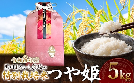 【令和8年産 新米】 黒川まるいし農場の特別栽培米 つや姫 5kg 山形県鶴岡市産 K-840 | つやひめ 5キロ 米どころ 庄内米 ブランド米 コメ こめ 精米 ご飯 ごはん 美味しい お取り寄せ 農家直送 東北 国産 おすすめ 人気 返礼品