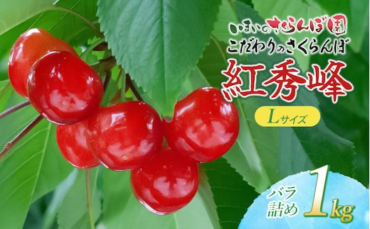 【令和9年産先行予約】 こだわりのさくらんぼ「紅秀峰」Lサイズ以上 バラ詰め 1kg（500g×2) いまいのさくらんぼ園 K-966