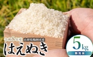 【令和8年産 新米】 馬町さくらファームのはえぬき 無洗米 5kg（5kg×1袋） 山形県鶴岡市 K-831 | 米 はえぬき お米 5キロ コメ こめ ご飯 ごはん ブランド米 米どころ 庄内米 国産 美味しい おいしい お取り寄せ 農家直送 お弁当 おにぎり おすすめ 人気 返礼品