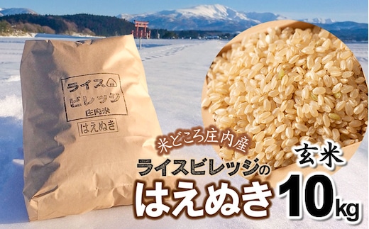令和7年産 米どころ庄内産ライスビレッジのはえぬき 玄米10kg K-7114