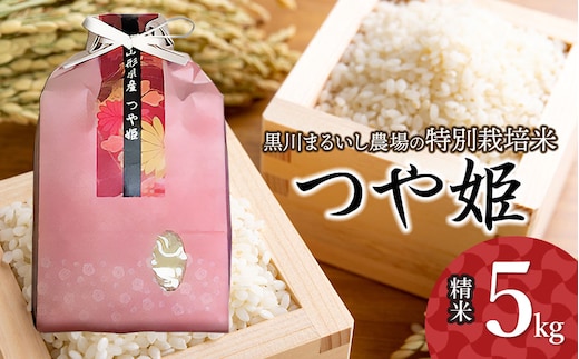 【令和7年産】【新米】 黒川まるいし農場の特別栽培米 つや姫 5kg 山形県鶴岡市産 K-747