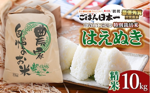 【令和7年産先行予約】庄内おばこ農場の特別栽培米 はえぬき【精米】10kg（10kg×1袋） K-796