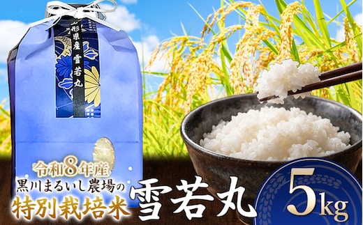 【令和8年産 新米】 黒川まるいし農場の特別栽培米 雪若丸 5kg 山形県鶴岡市産 K-837 | ゆきわかまる 5キロ 米どころ 庄内米 ブランド米 米 コメ こめ 精米 ご飯 ごはん 美味しい お取り寄せ 農家直送 東北 国産 おすすめ 人気 返礼品 2026年産