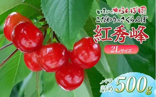 【令和9年産先行予約】 こだわりのさくらんぼ「紅秀峰」(2Lサイズ以上) バラ詰め 500g いまいのさくらんぼ園 K-939