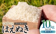 【令和8年産 新米】馬町さくらファームのはえぬき 無洗米 10kg（5kg×2袋） 山形県鶴岡市 K-863 | 米 お米 コメ こめ 10キロ ご飯 ごはん ブランド米 米どころ 庄内米 国産 美味しい おいしい お取り寄せ 農家直送 お弁当 おにぎり おすすめ 人気 返礼品