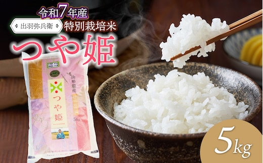 【令和7年産】【新米】特別栽培米つや姫 白米 5kg 山形県鶴岡市産 出羽弥兵衛 株式会社