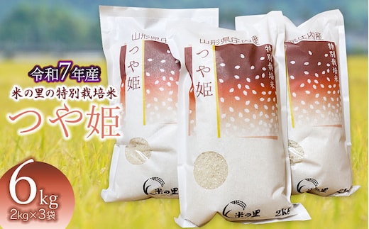 【令和7年産】 米の里の特別栽培米 つや姫 精米 6kg(2kg×3袋) 山形県鶴岡市産 K-763