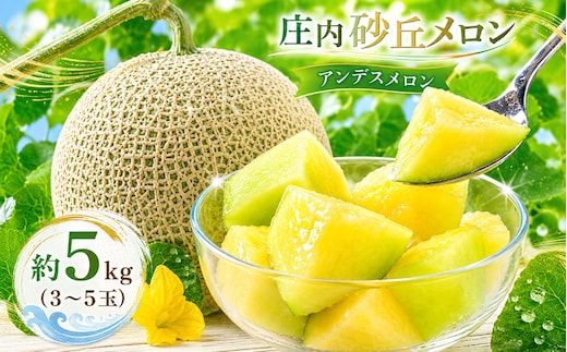 【令和8年産先行予約】菅原農園の庄内砂丘メロン 約5kg （3玉～5玉） アンデス メロン 【7月下旬～8月上旬】 K-835 菅原農園 鶴岡地区物産協同組合
