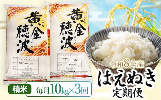 【令和8年産】【3ヶ月定期便】はえぬき 精米10kg(5kg×2袋)×3回 山形県鶴岡市 らん工房 | 定期 10キロ 米 お米 おこめ コメ こめ 食品 ご飯 ごはん おいしい お取り寄せ 農家直送 お弁当 おにぎり 東北 国産 おすすめ 人気 返礼品