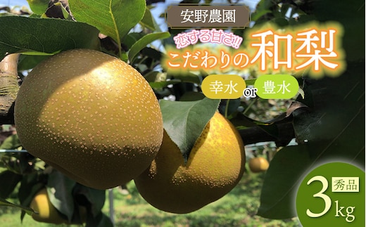 【令和8年産先行予約】「恋する甘さ！」こだわりの和梨 幸水か豊水 秀品3kg(5～10玉) 山形県鶴岡産 安野農園