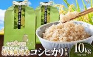 【令和8年産】 黒川まるいし農場の特別栽培米 コシヒカリ 玄米 10kg(5kg×2袋)　山形県鶴岡市産　K-874　| こしひかり 米どころ 庄内米 ブランド米 米 コメ こめ 精米 ご飯 ごはん 美味しい お取り寄せ 農家直送 東北 国産 おすすめ 人気 返礼品 2026年産