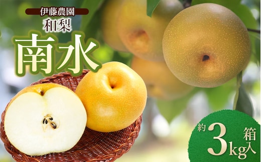 【令和8年産先行予約】 南水(和梨) 約3kg 箱入り (7～9個入り) 山形県鶴岡市 伊藤農園
