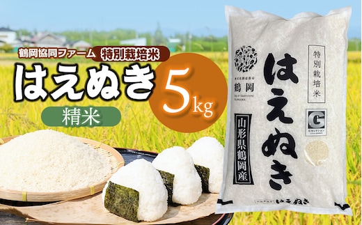 【令和7年産】【新米】 特別栽培米はえぬき 精米5kg (5kg×1袋) 山形県鶴岡産 鶴岡協同ファーム