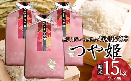 【令和7年産】 黒川まるいし農場の特別栽培米 つや姫 15kg (5kg×3袋) 山形県鶴岡市産 K-7120 | つやひめ 15キロ 米どころ 庄内米 ブランド米 米 コメ こめ 精米 ご飯 ごはん 美味しい お取り寄せ 農家直送 東北 国産 おすすめ 人気 返礼品