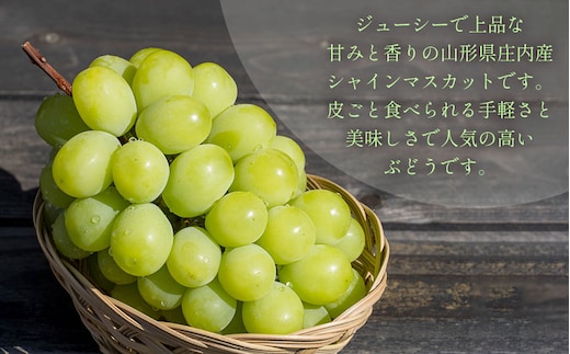 【令和8年産先行予約】 シャインマスカット 2kg（3～4房） 山形県鶴岡市 鶴岡中央青果 | ぶどう ブドウ 葡萄 果物 くだもの フルーツ 2キロ 大粒 種なし 皮ごと 旬 期間限定 2026年産 人気 美味しい お取り寄せ 返礼品