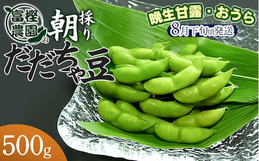 【令和8年産先行予約】 富樫農園の朝採りだだちゃ豆【8月下旬発送】500g 晩生甘露・おうら K-812