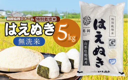 【令和7年産】【新米】 特別栽培米はえぬき 無洗米 5kg (5kg×1袋) 山形県鶴岡産 鶴岡協同ファーム