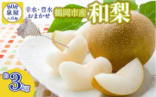 【令和8年産先行予約】鶴岡市産 和梨（品種おまかせ）幸水・豊水のどちらか1種 約3kg K-823 泉屋商店