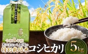 【令和8年産】 黒川まるいし農場の特別栽培米 コシヒカリ 5kg　山形県鶴岡市産　K-837　| こしひかり 米どころ 庄内米 ブランド米 米 コメ こめ 精米 ご飯 ごはん 美味しい お取り寄せ 農家直送 東北 国産 おすすめ 人気 返礼品 2026年産